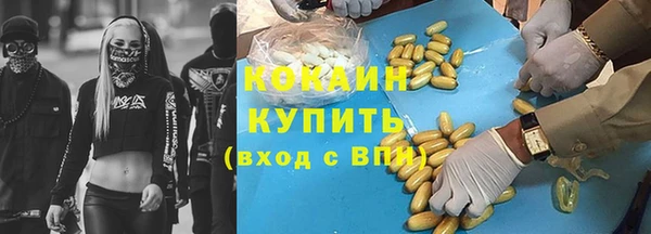 хмурый Арсеньев