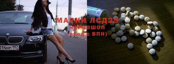 хмурый Арсеньев