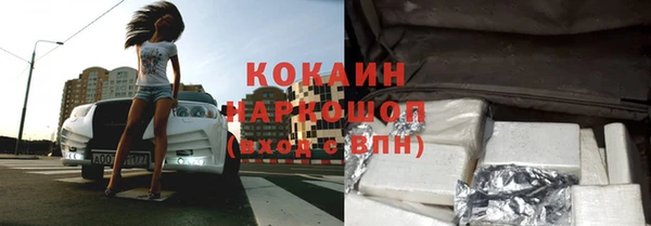 хмурый Арсеньев