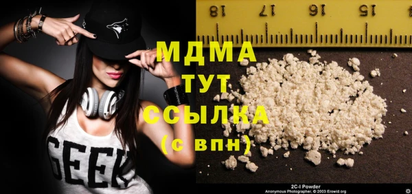 хмурый Арсеньев