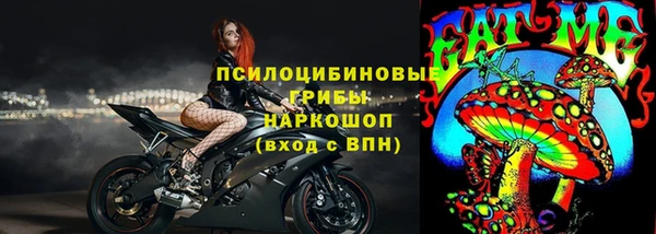 хмурый Арсеньев
